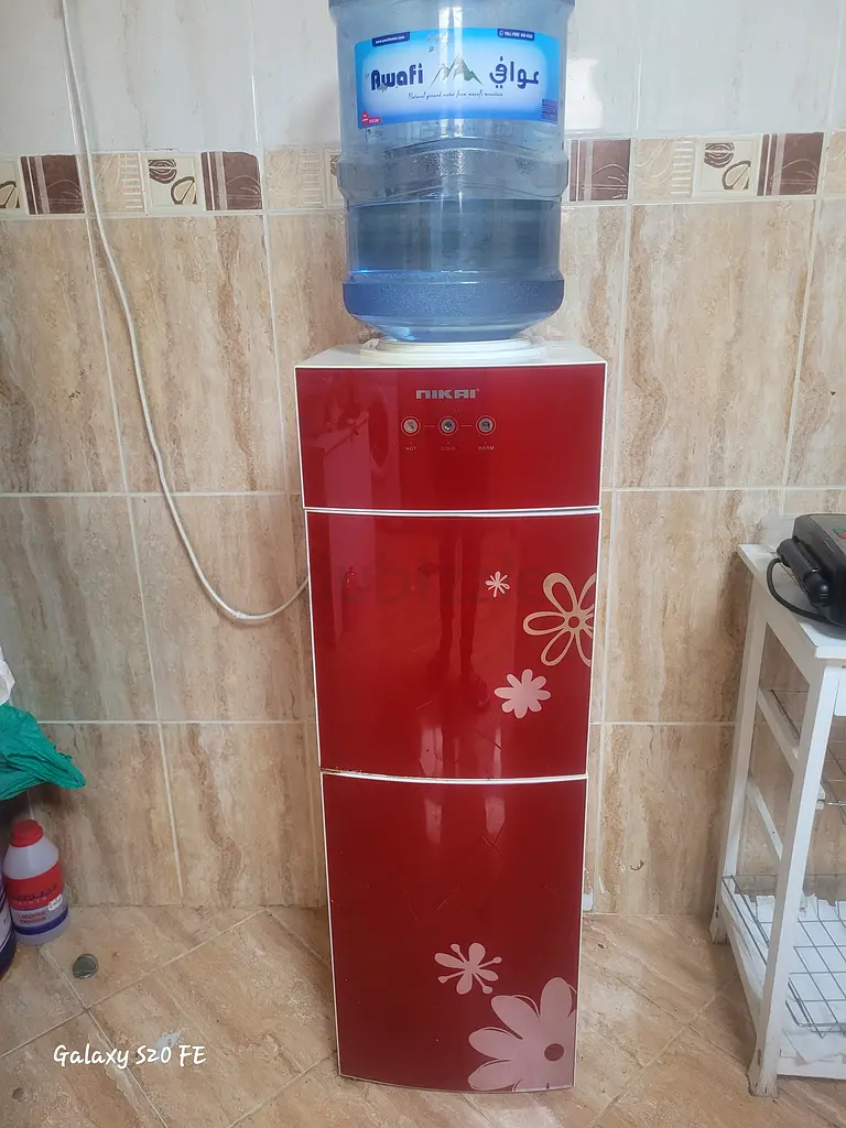 Water dispenser with cooler