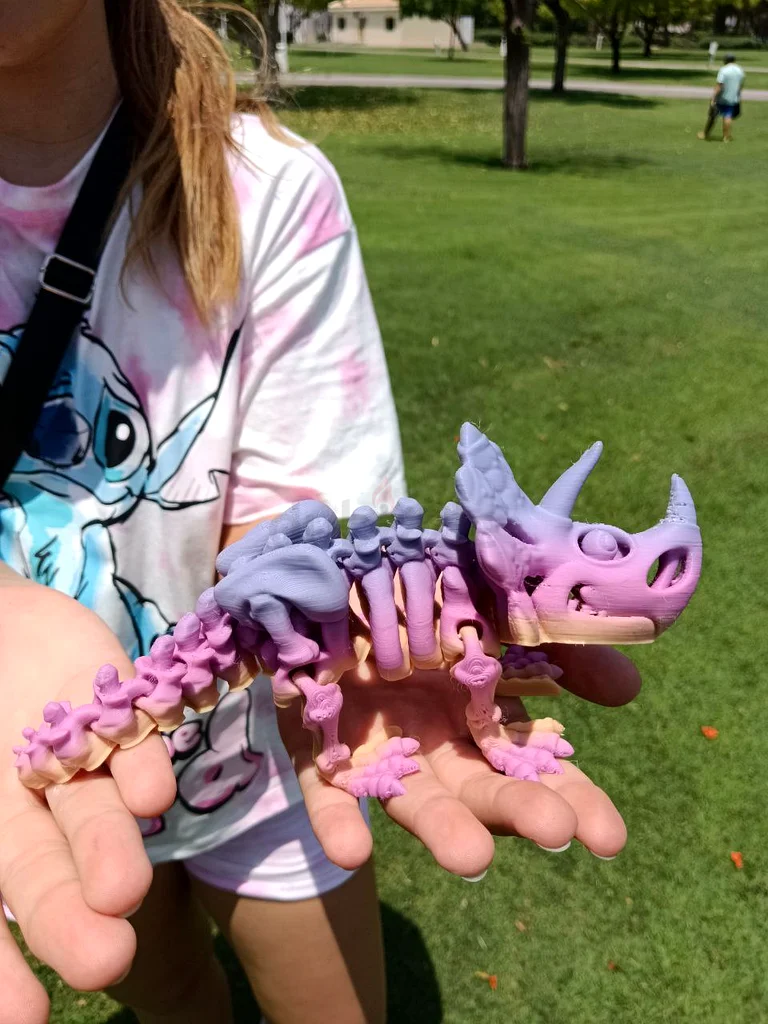 Beautiful Flexible triceratops model. A great gift for a teenager or interior decoration63207401647107111