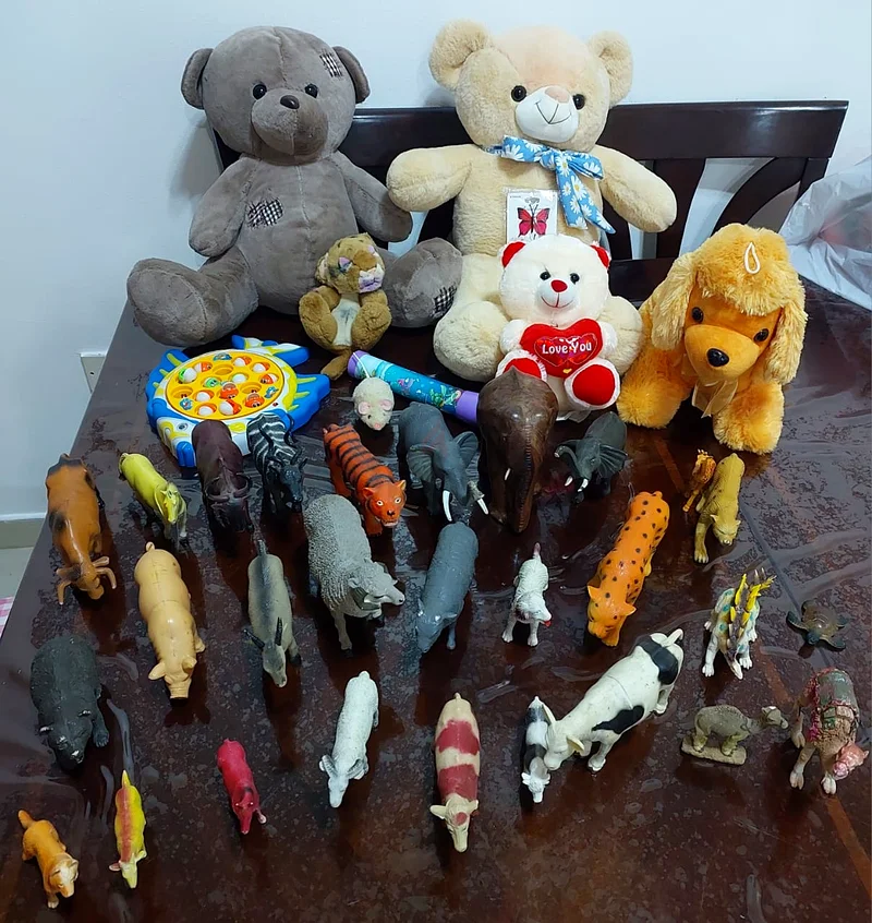 Cuddly Plush Toys and Diverse Animal Figure Set63205361953921111