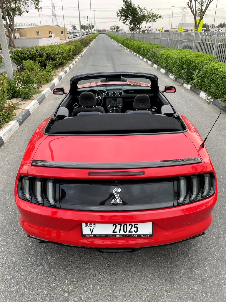 Ford Mustang V6 Shealby Kit Full63167557610499113
