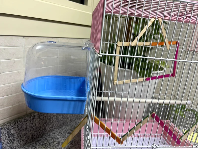 Big cage fir bird63233131815425112