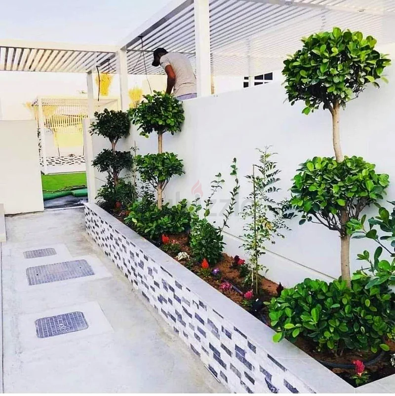 تصميم الحدائق المناظر الطبيعية63441840131203112