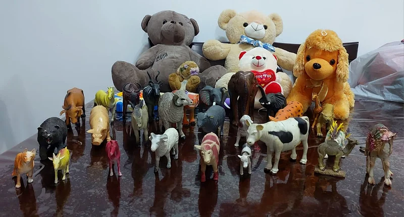 Cuddly Plush Toys and Diverse Animal Figure Set632053619539211129