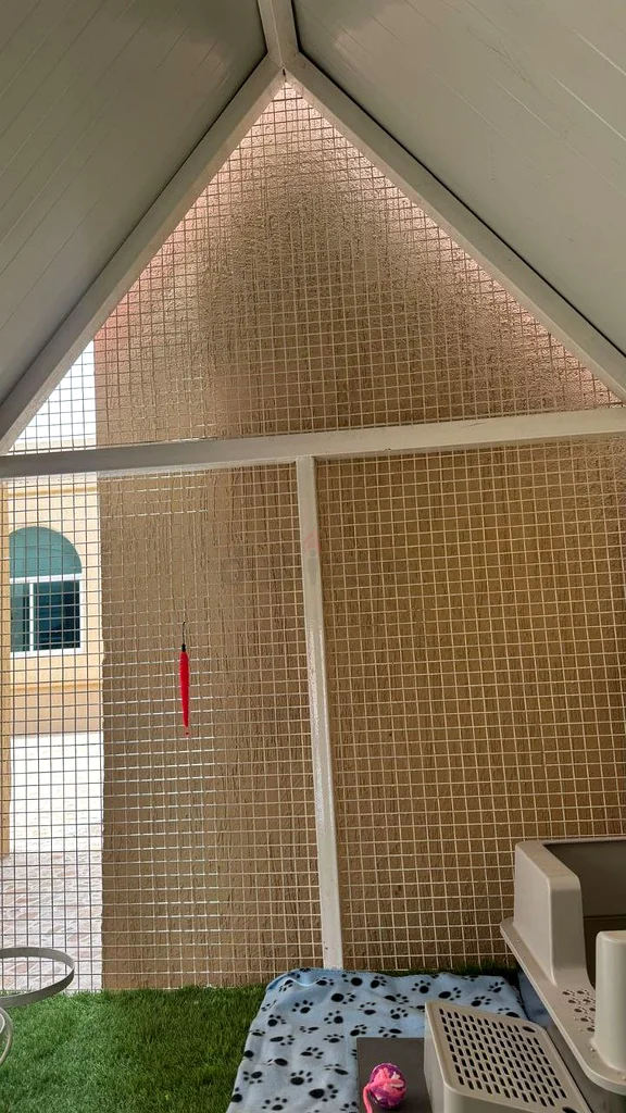 للبيع غرفة فاخرة للقطط والكلاب منطقة السلمة 163173509451777114