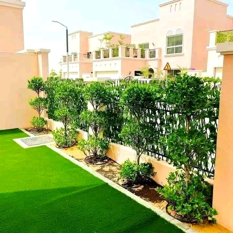 تصميم الحدائق المناظر الطبيعية63441840131203111