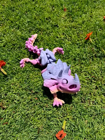 Beautiful Flexible triceratops model. A great gift for a teenager or interior decoration