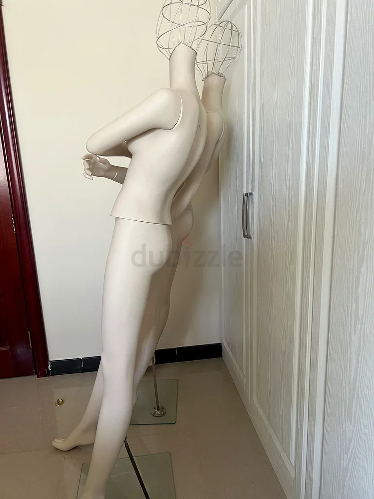طقم عرض أنيق لعرض أحدث إبداعاتك!63258660602627112