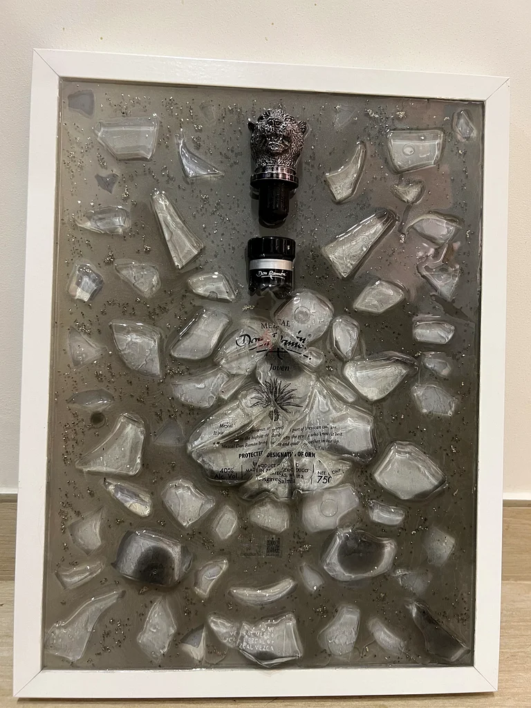 Don Ramon Joven Tequila Broken Bottle Frame unique Art wall hanging decor black white decoration62930641642626113