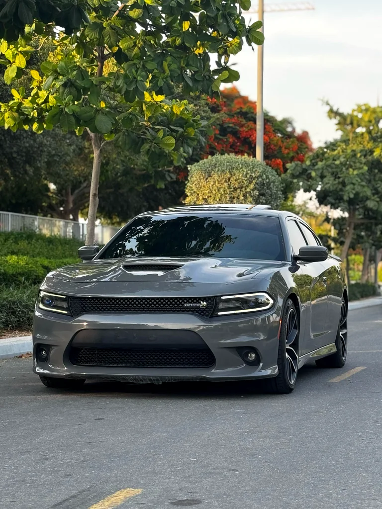 Dodge Charger Scat Pack 2018 GCC63152750925313111