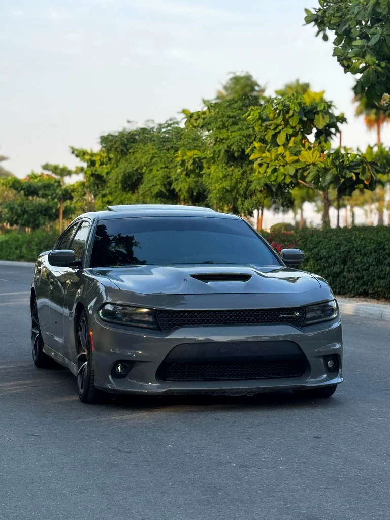 Dodge Charger Scat Pack 2018 GCC63152750925313113