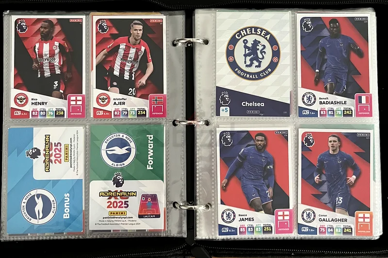 Panini XL premier league cards62932698498179112