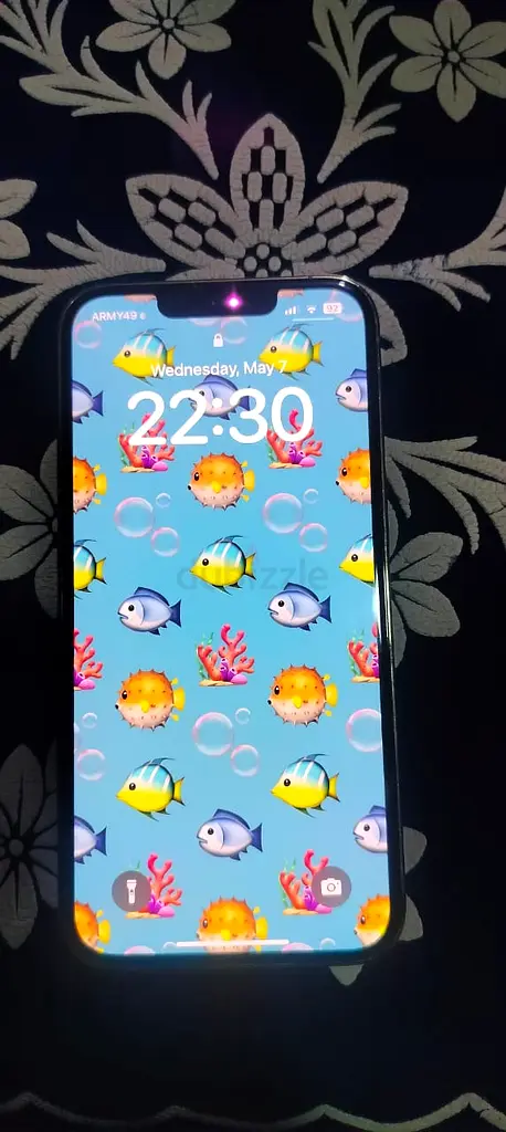 Iphone 13 Pro63212405794051112