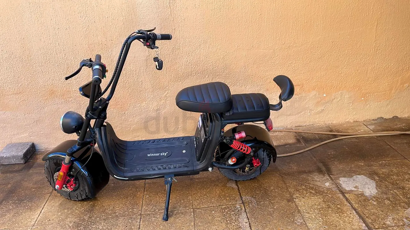 Electric Scooter