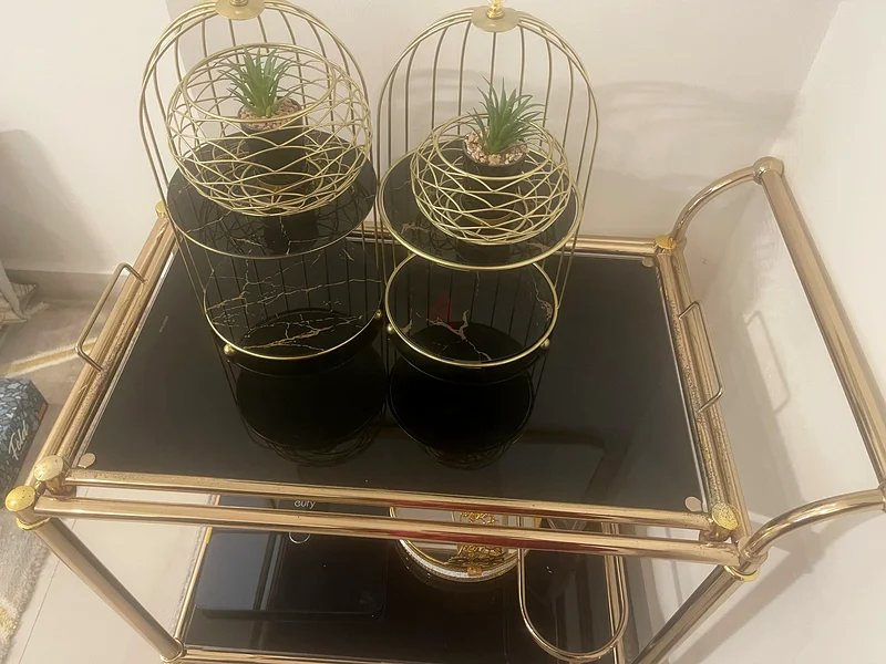 عربة الطعام63219342467457112