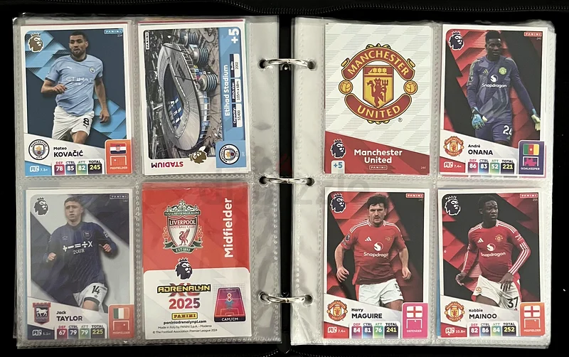 Panini XL premier league cards62932698498179111