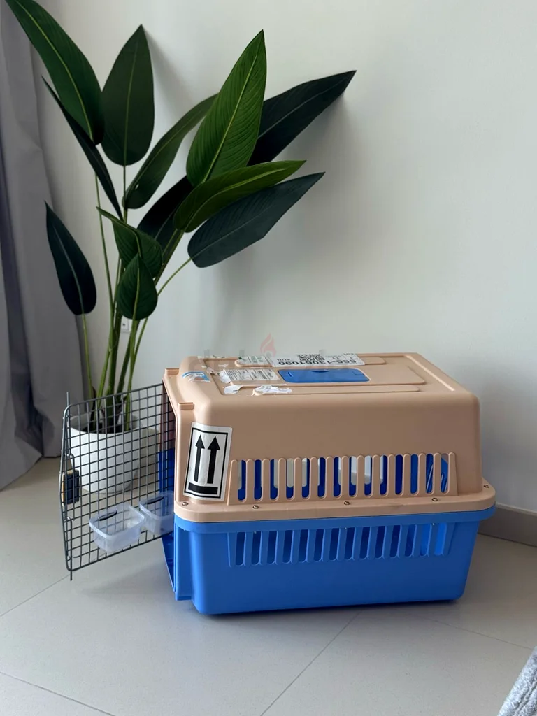 Spacious Pet Carrier for Your Furry Friends!63172684400641111