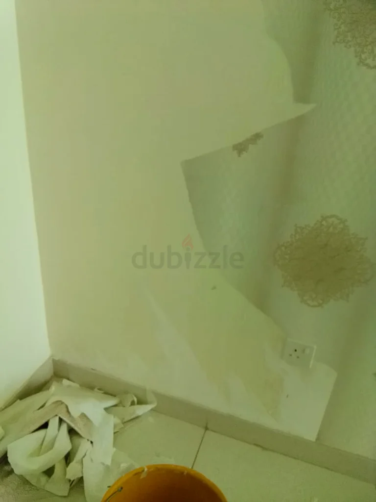 رجل الصيانة63184735542019111
