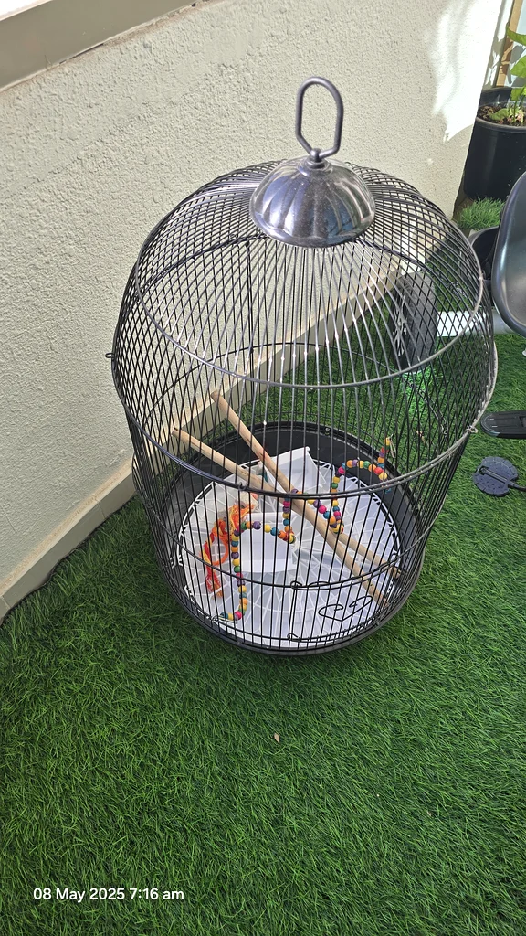 Bird cage63232650477571112