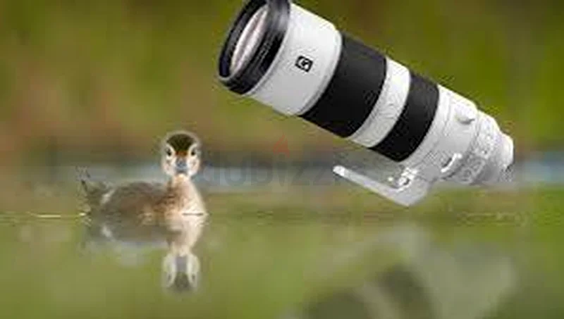 سوني FE 200-600 F/5.6-6.3 G629316720298251118