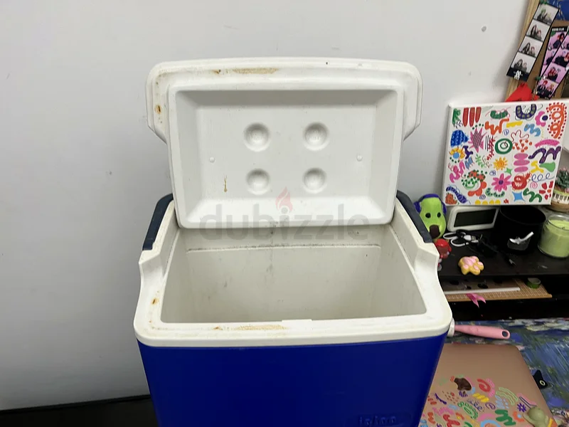 Ice box cooler63246236669953113