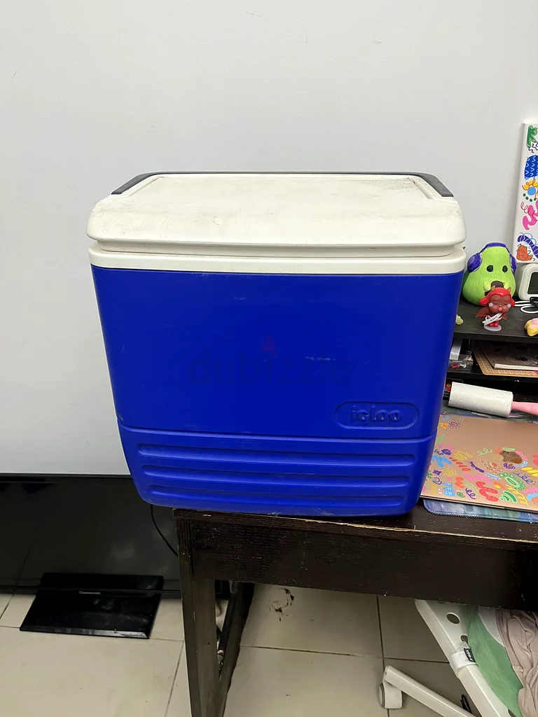 Ice box cooler63246236669953112