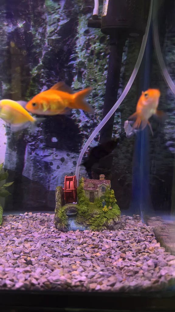 Stylish Aquarium with LED Light, Filter  Decorative62930649228289112