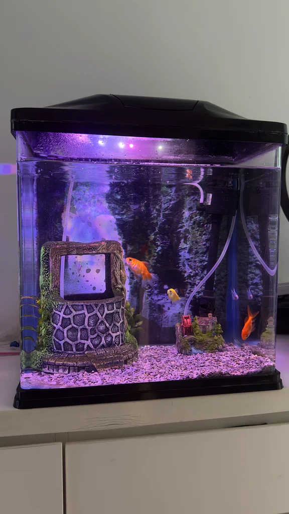 Stylish Aquarium with LED Light, Filter  Decorative62930649228289114