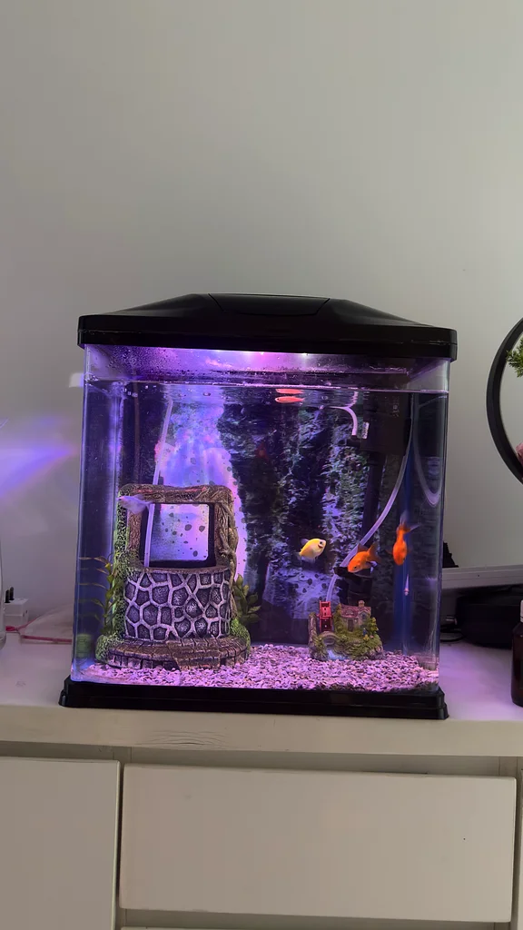 Stylish Aquarium with LED Light, Filter  Decorative629306492282891128