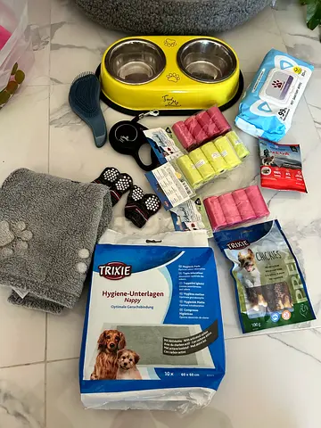 Dog accessories