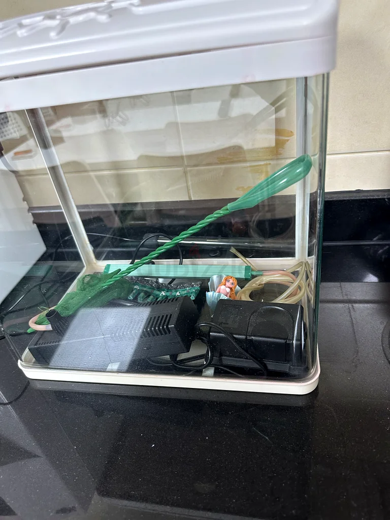 Aquarium632356013548811129