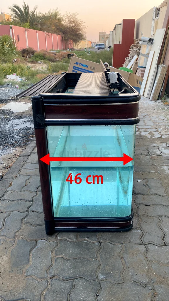 A large fish tank almost like an agency63233131355009111