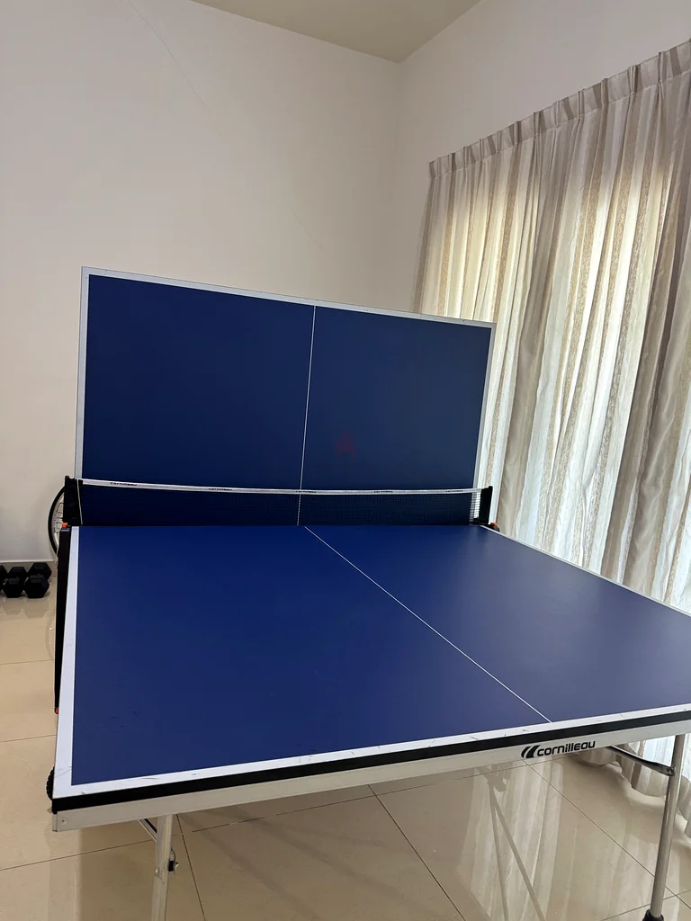 High-Quality Table Tennis Table - Perfect for Indoor Fun63244207151873113