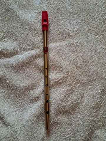 Generation Tin Whistle