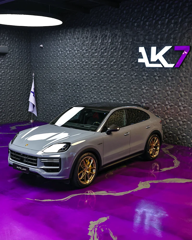 PORSCHE CAYENNE - 2024 - EUROPE63150023069571114