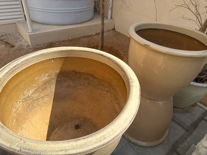 مجموعة أنيقة من 6 أصص زينة63221860609155111