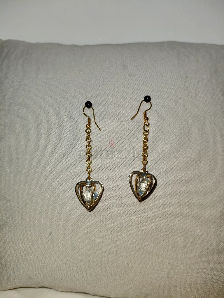 Heart earrings632301804904981127