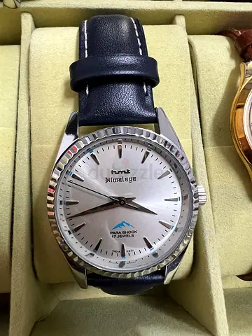 Hmt himalaya watch