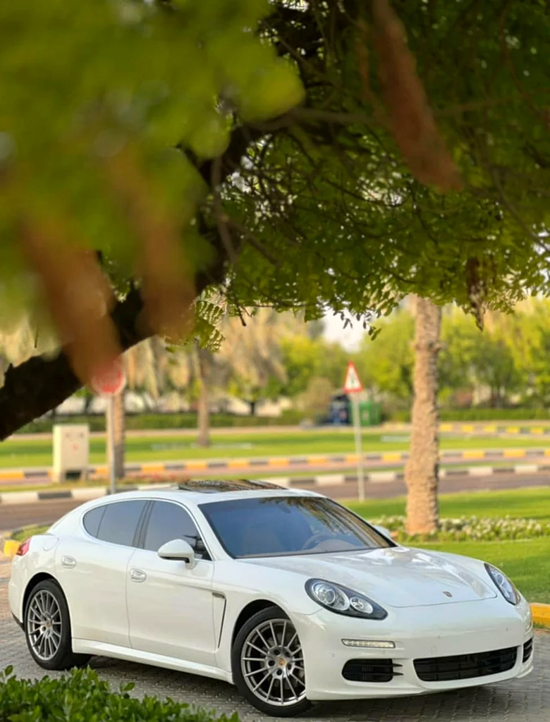 Porsche panamera S63171746244226111