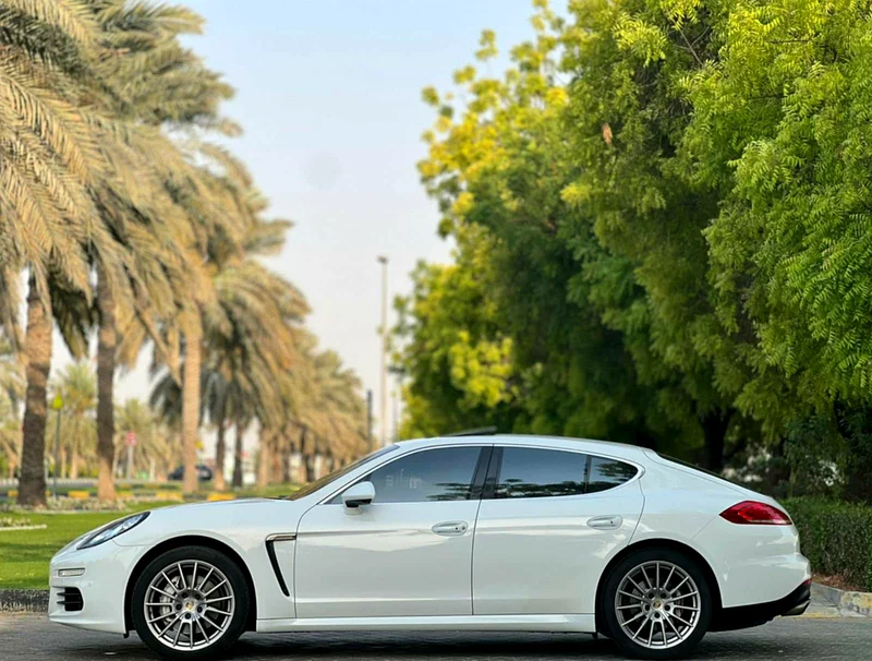 Porsche panamera S63171746244226113