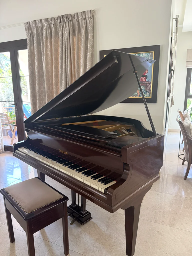 Elegant Baby Grand Piano – Perfect for Your Home Concerts!63206383590915113