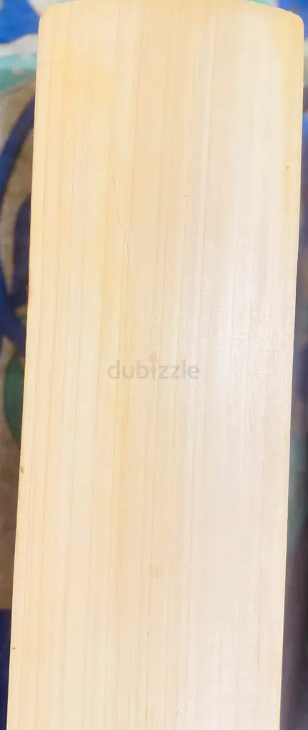 Premium Cricket Bat for Enthusiasts!
