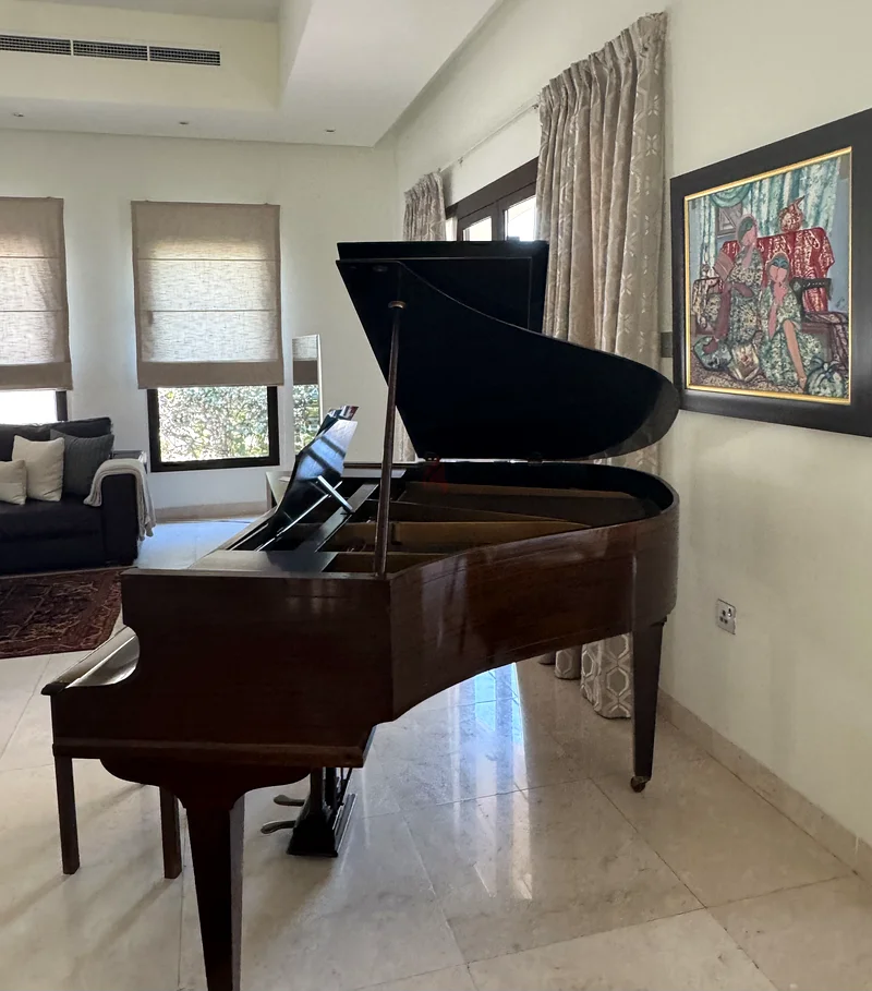 Elegant Baby Grand Piano – Perfect for Your Home Concerts!63206383590915111