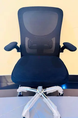 Office mesh chair with lumber support