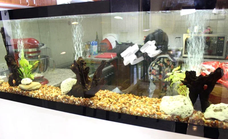 Large 2 meter wide Aquarium with 2 filters and LED lights for Sale632316860198411121