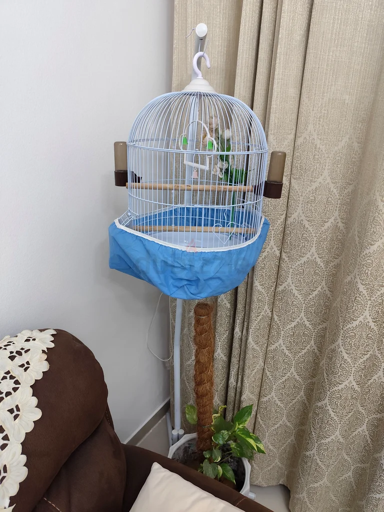قفص طيور للبيع63232650523650111