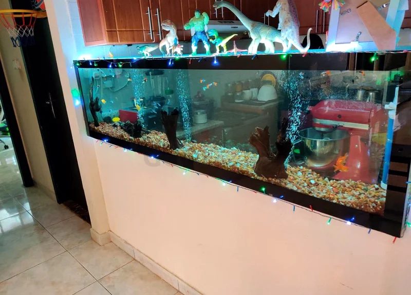 Large 2 meter wide Aquarium with 2 filters and LED lights for Sale63231686019841111