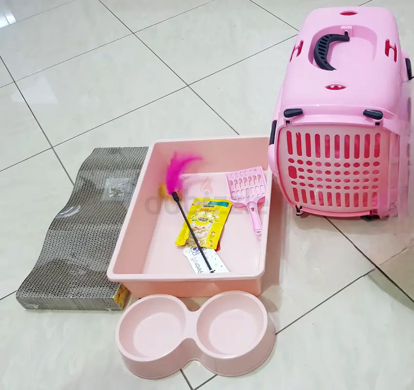 Complete Cat Care Set: Stylish Carrier, Toys, and Essentials!