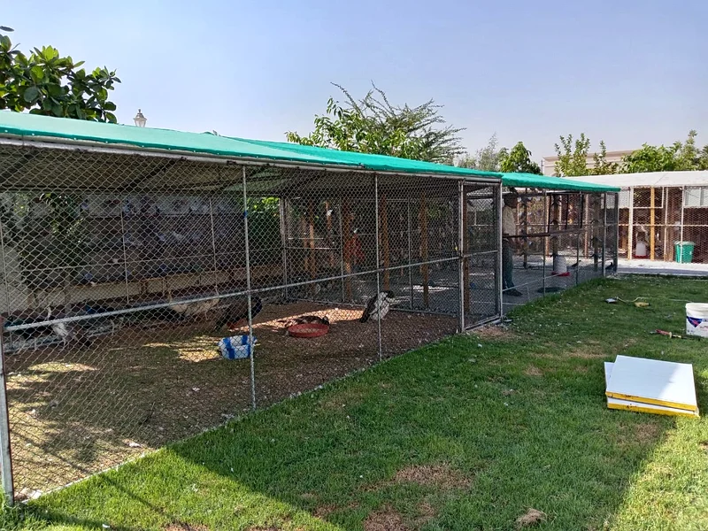 cage for animals63172684394499111