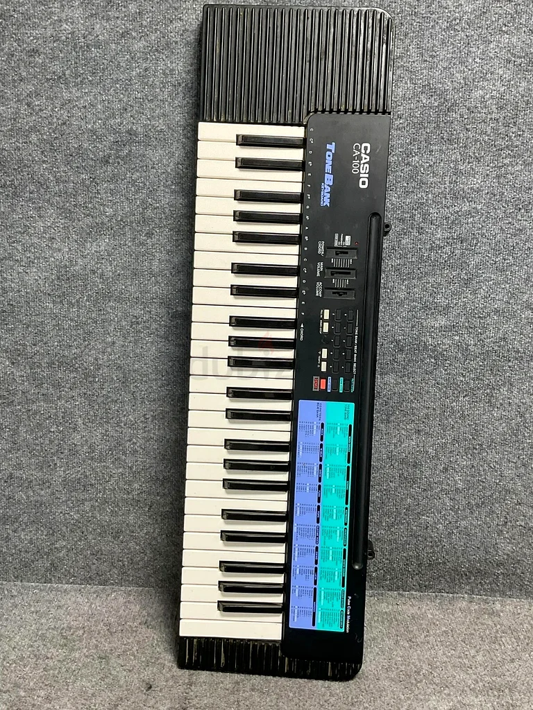 Casio tone bank c 100 for sale632288366511371124