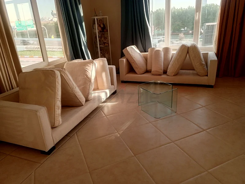 خدمات تنظيف الأرائك العميقة الاحترافية63219836402947110